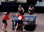 ag-tt4.gif (52510 Byte)